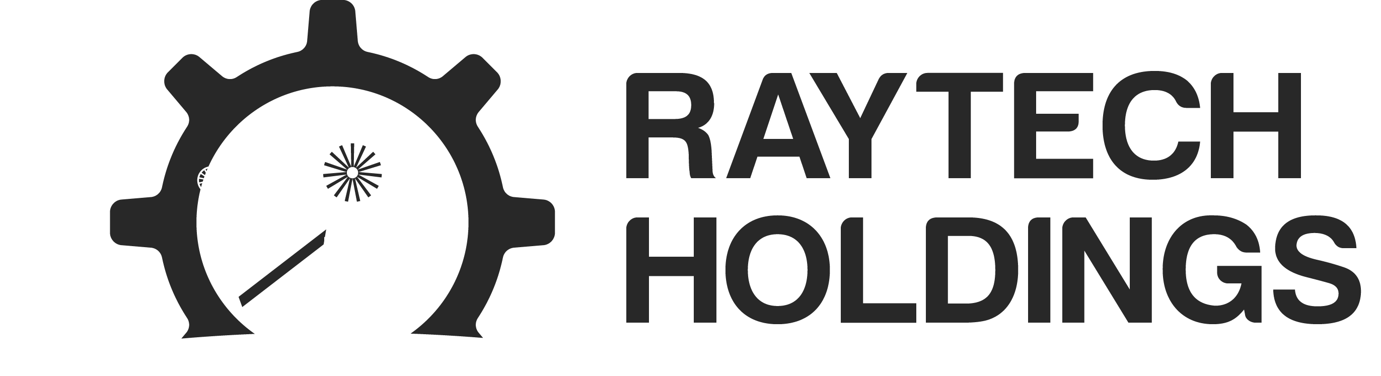 Home Raytech Holdings